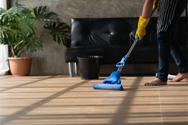Clean Home (3)